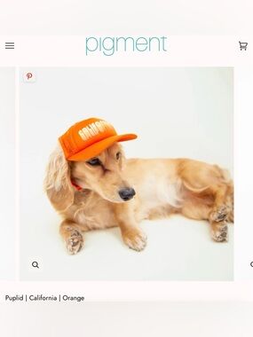 Pigment California Orange Dog Cap - Breathable Mesh Baseball Hat